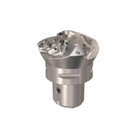 SECO-02669613