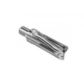 SECO-02590461