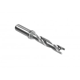 SECO-02623594