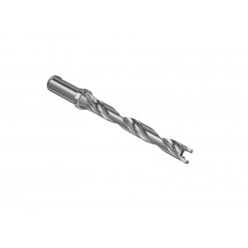 SECO-02623647