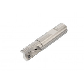 SECO-02772637