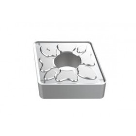 SECO-03169654